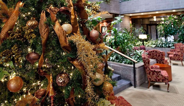 Radisson Hotel Corning