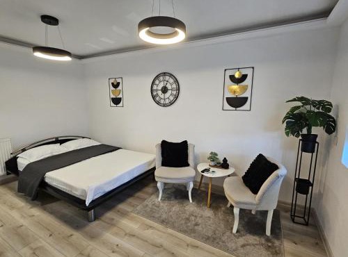 Radu's Room