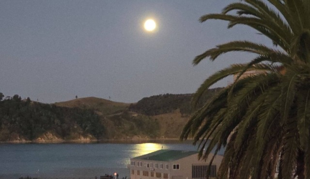 Raglan beach hideaway, stunning views. 5 minute walk to the Famous Raglan Wharf.