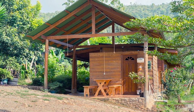 Rain Ecolodge cabins