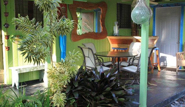Rain Forest Apartment!
