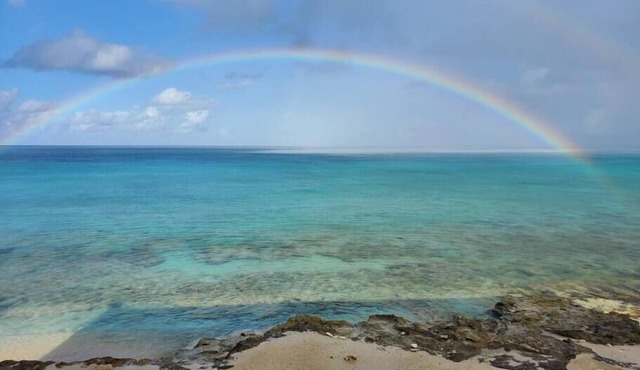Rainbow Beach Dreams