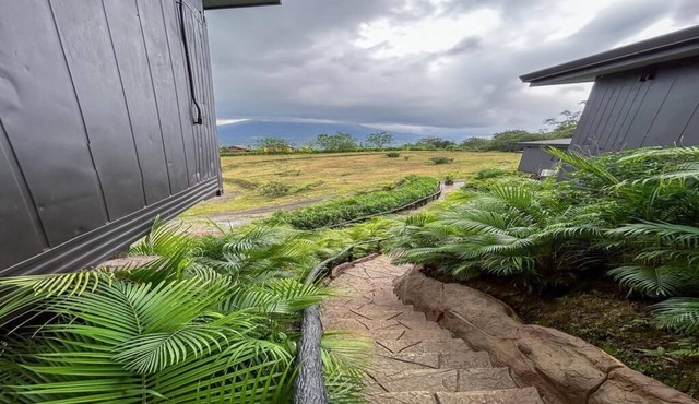 Rainforest Eco Bliss w/Free Hot Springs Entrance