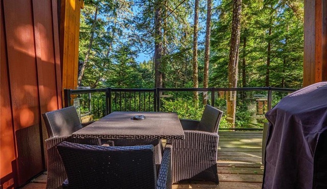 RAINFOREST GETAWAY - Directly on Spring Cove!