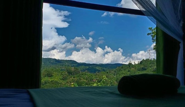 Rainforest Hide View