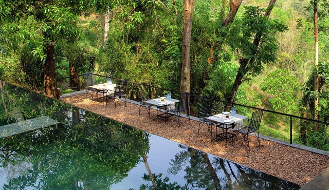 Rainforest