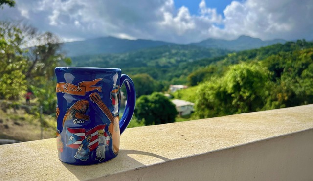 Rainforest Relaxation at Casa Golden Coqui