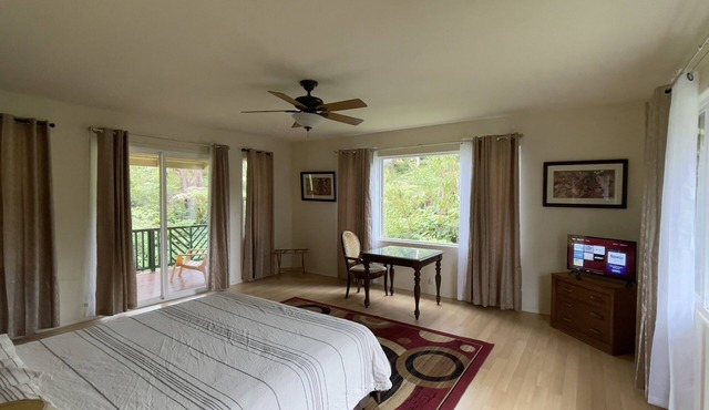 Rainforest Room