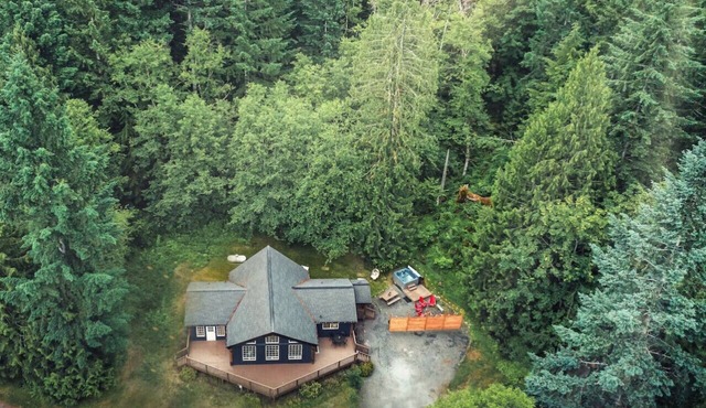 Rainier Forest Cabin · Hot Tub + Sauna · Fire Pit