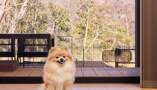 Rakuten STAY VILLA Hakone Gora C Pet 4 Single Ro/Ashigarashimo District Kanagawa