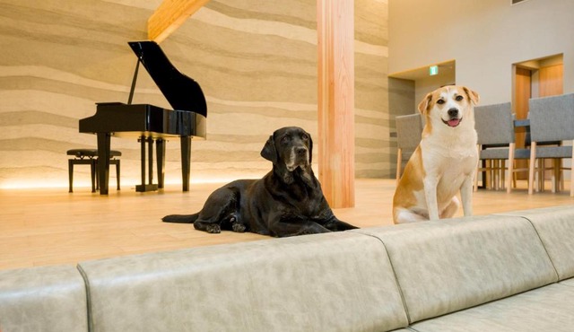 Rakuten STAY VILLA Kamogawa Building A with Pool and Terrace and sauna Capacity of 12 persons Pets allowed