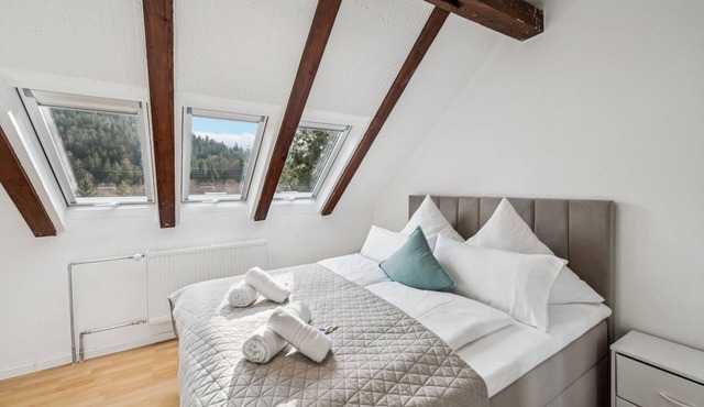 Ramoni Apartments - Enzzauber - Bad Wildbad