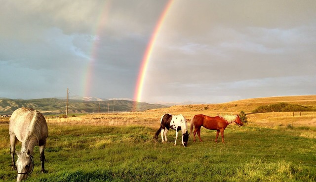 Ranches, Lakes, Mountains & the Great Outdoors. Bring Your Horses Pasture Onsite