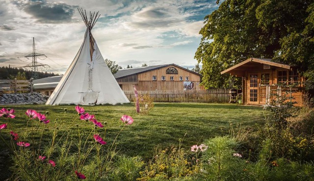 Ranchhouse Bubble - Westernstable - Horse