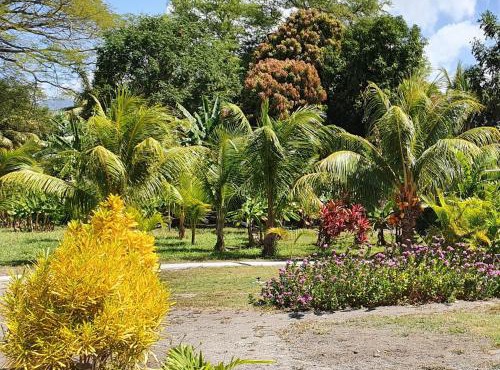 Rancho Tranquillo