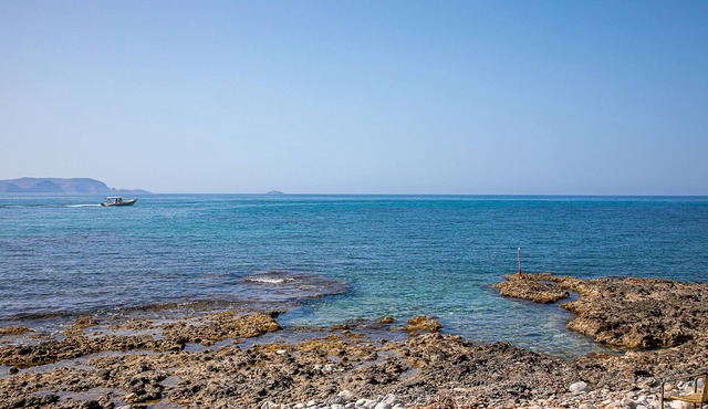 Rania Studios