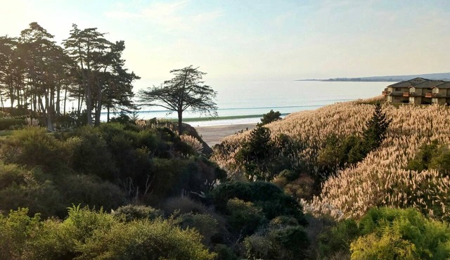 Rare Oceanview Studio Seascape Resort!