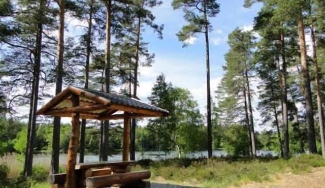 Rasta Eksjö