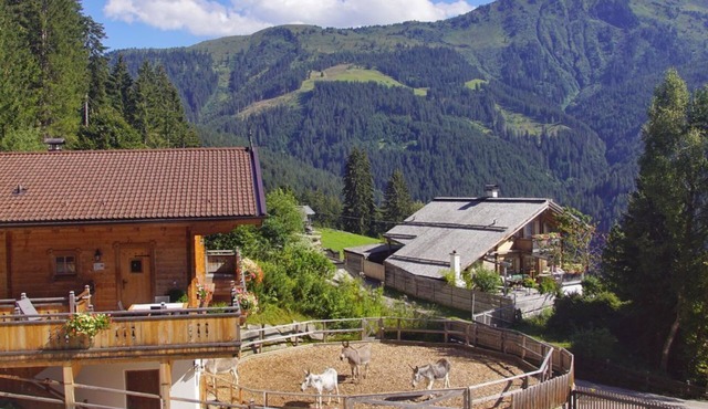 READYNOW Alpine Resonance Camp for mental clarity - READYNOW Lodge Wiese