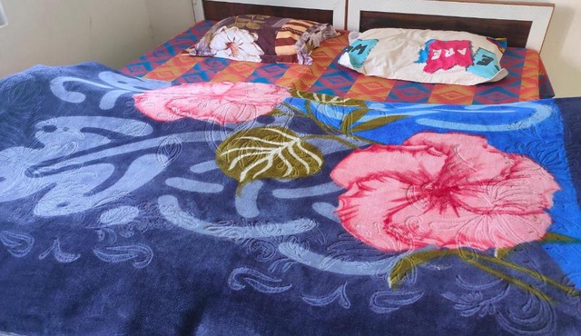 Rebecca Homestay & Camping
