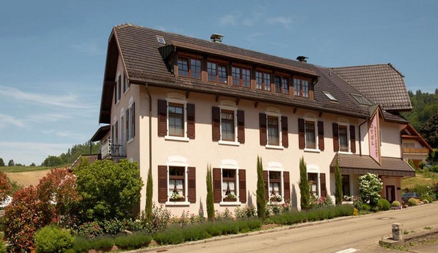 Rebstock Kappelwindeck