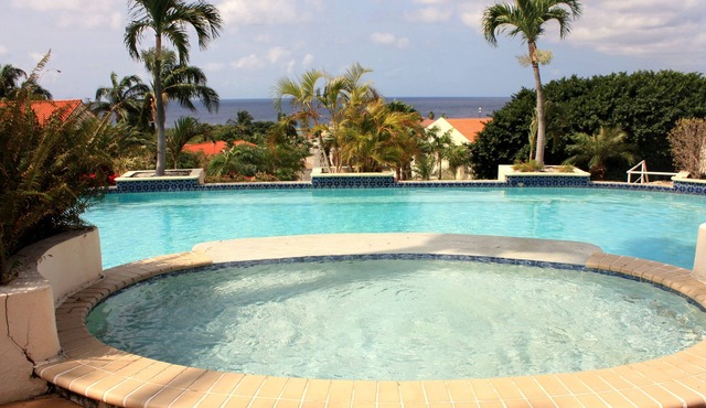 Recently redecorated spacious apartment in luxury Royal Palm Resort