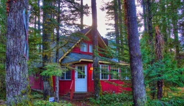 Red Hawk Hideaway- fun for family, friends & pets