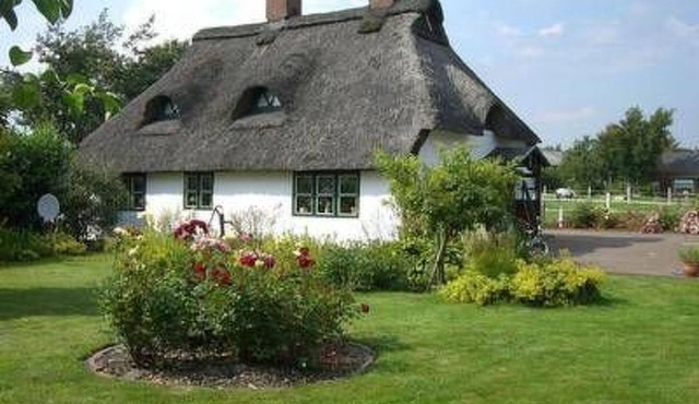 Reetdachhaus Petra by Interhome