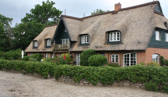 Reethus Stöfs