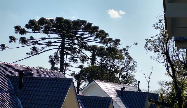 Refúgio Gramado with air conditioning, fireplace and wi-fi