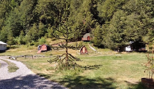 Refugio Raki