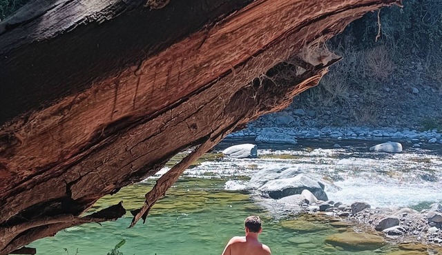 Refugio Silvestre