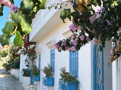 Reginas -Blue Flower Little Home in the Heart of Fiscardo
