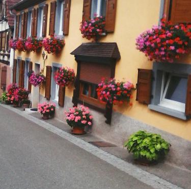 Relais de la diligence