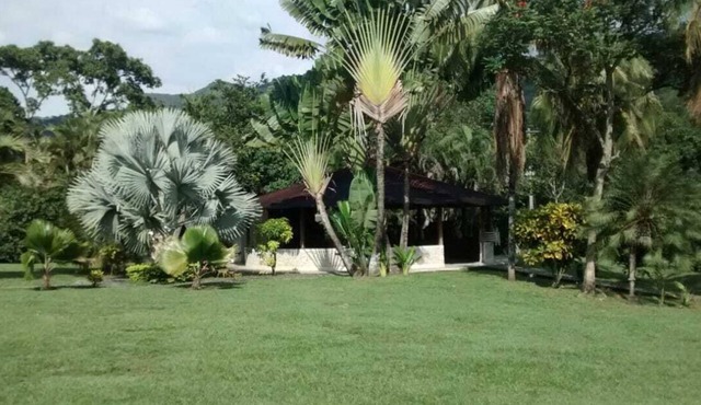 relationship human being nature