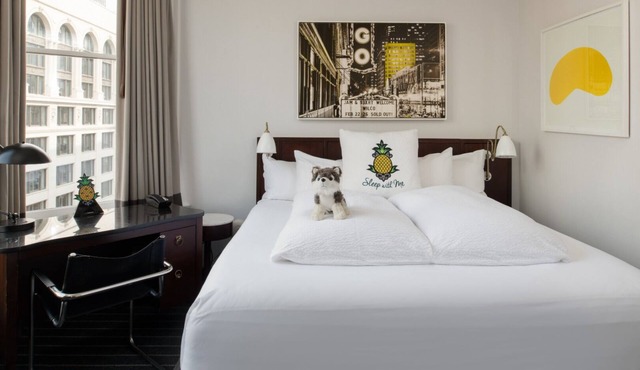 Relax in a Spacious King Suite with Stunning Views of Chicago