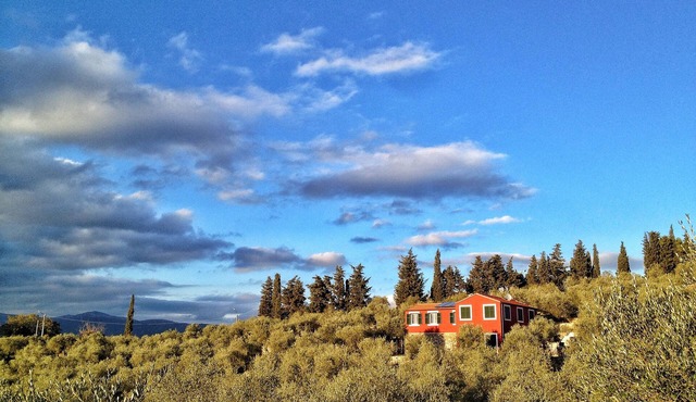 Relax in the olive trees - 5km from the center and from the beaches - Appartamento Oliva