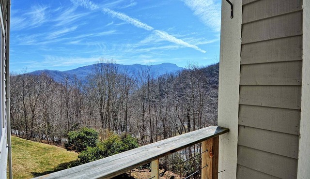 Relax in this cozy 2-bedroom Hawk's Peak Condo in Seven Devils, NC, perfect for 4!