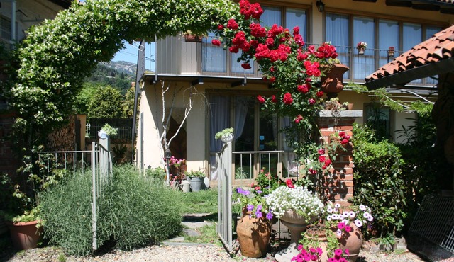 Relaxation in a framework of green nature