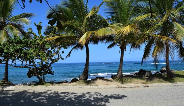 Relaxed Oceanfront home on quiet palm fringed Beach with large Oceanfront patio