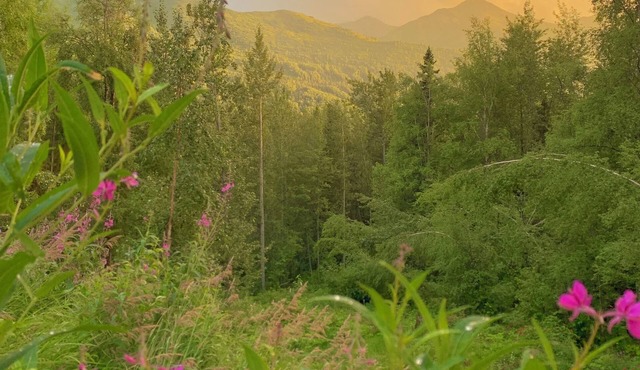 Relaxing 3BR Creekside Escape in Eagle River w/Hot Tub & Mountain Views