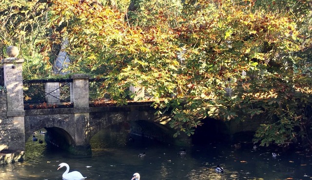 Relaxing and comfortable 16th century cottage on the edge of picturesque village