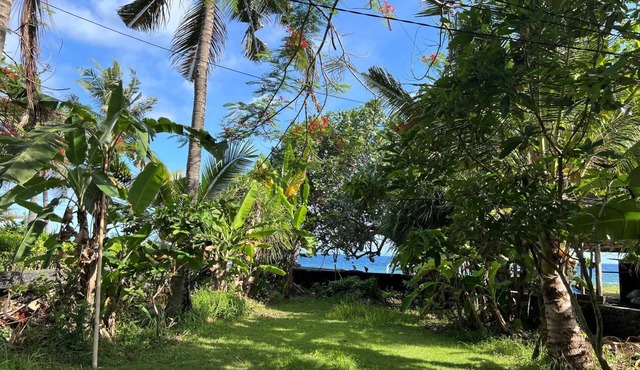 Relaxing Beachfront Villa - Close to Surf break