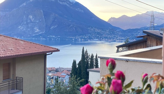Relaxing Lake Gem - One Bedroom Apartment, Sleeps 4