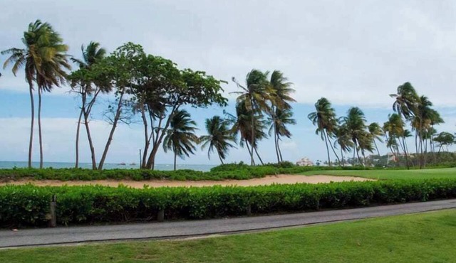Relaxing Oceanfront Villa in Palmas del Mar (BV228)