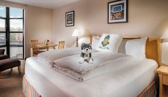 Relaxing Seattle Room Ideal for Exploring | Free Parking