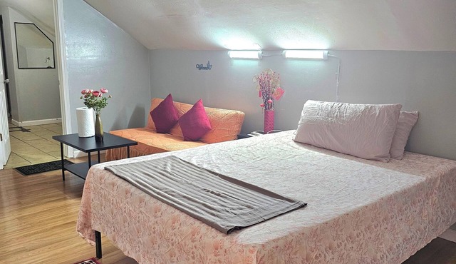 Relaxing shared place near U.City/Delmar/Forest Park big 1BR with attach Bath