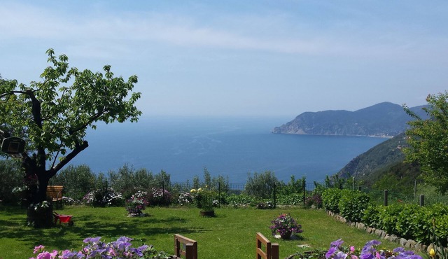 REMIGIU Typical residence with a wonderful sea view in the 5 Terre national park