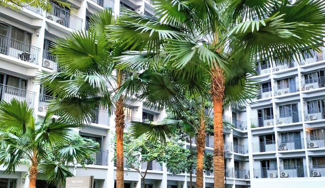 Reminisce Staycation