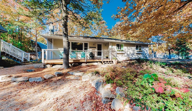 Remodeled, single-level cottage with washer/dryer & central AC - near everything